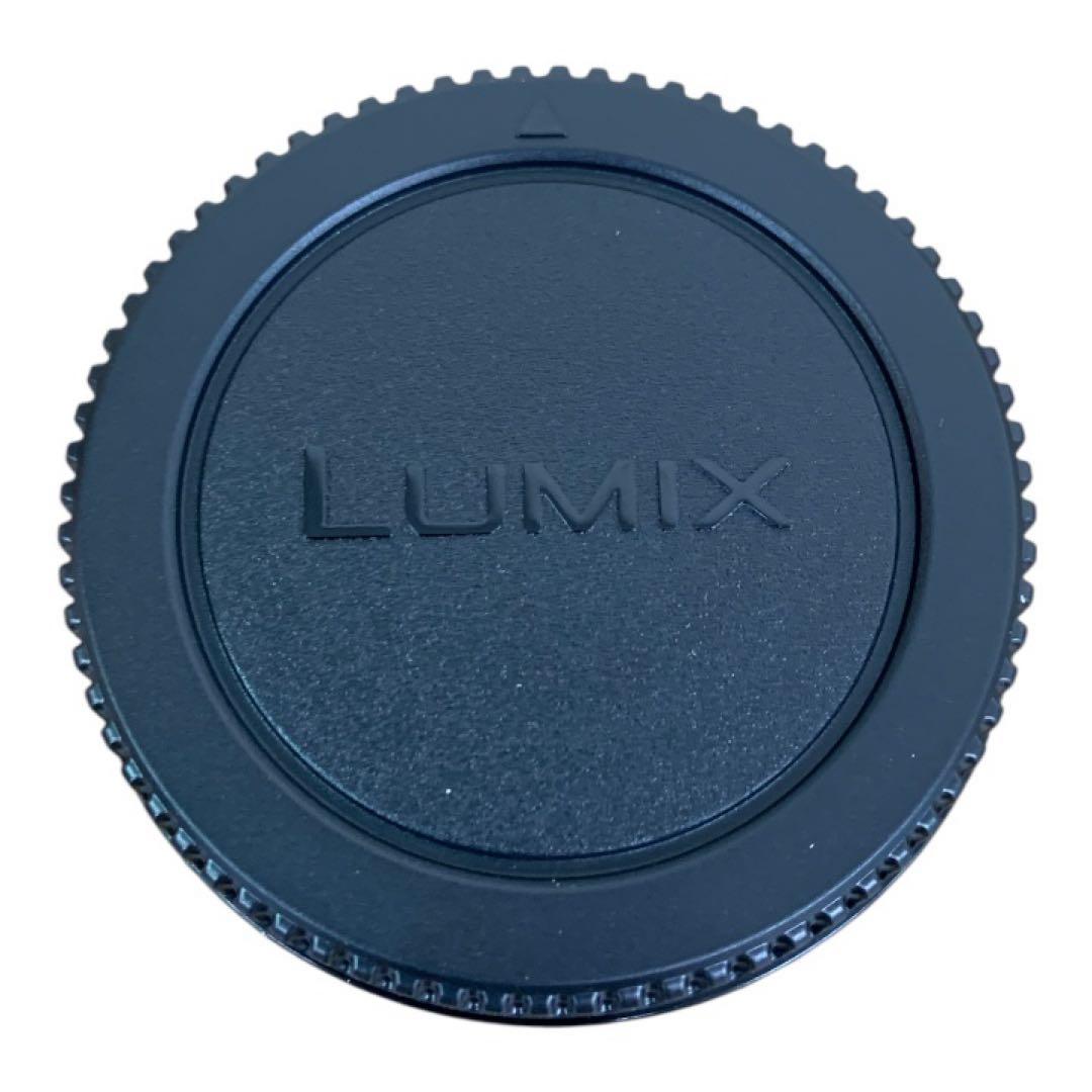 【美品】LUMIX GX1 ミラーレス一眼カメラ 本体とレンズ付き