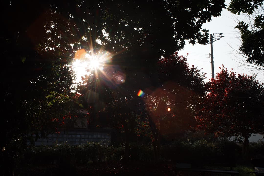 【極美品】動作◎ キャノン FD 28mm F2.8 S.C 134