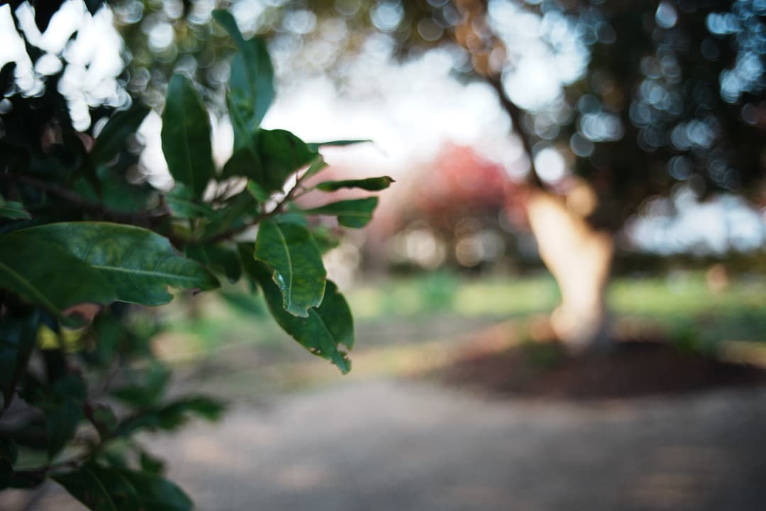 【極美品】動作◎ キャノン FD 28mm F2.8 S.C 134