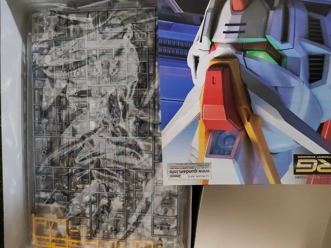RGフォースインパルスガンダムチタニウムフィッシュ
