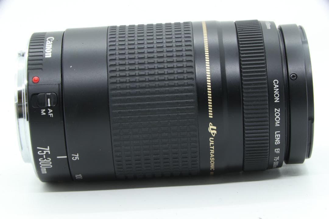 【N2132】 Canon EF 75-300 4-5.6 Ⅱ USM キャノン
