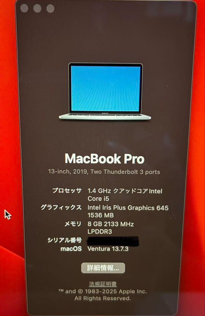 MacBook本体 MacBook Pro 2019 13inch i5 8GB 128GB