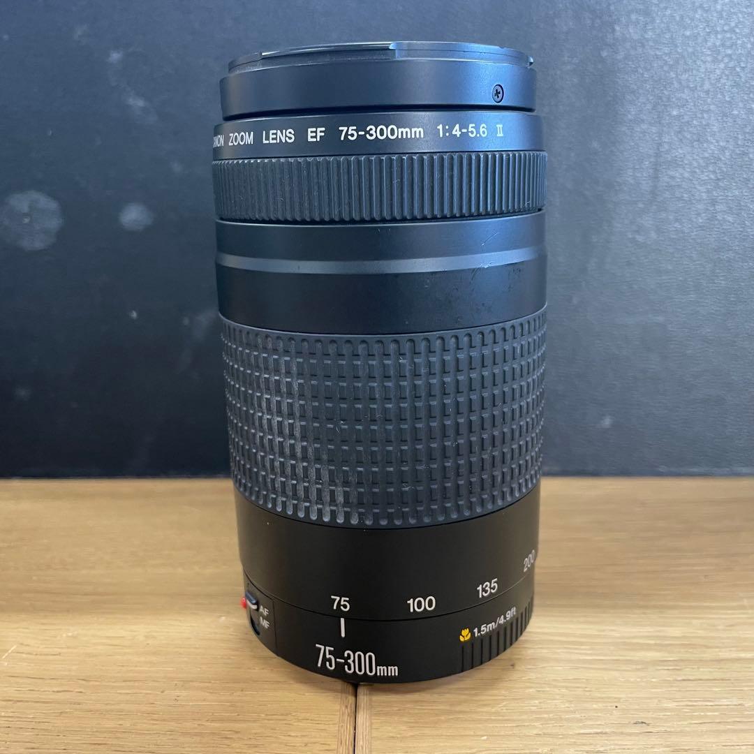 Canon EF 75-300mm F4-5.6 Ⅱ 望遠ズームレンズ