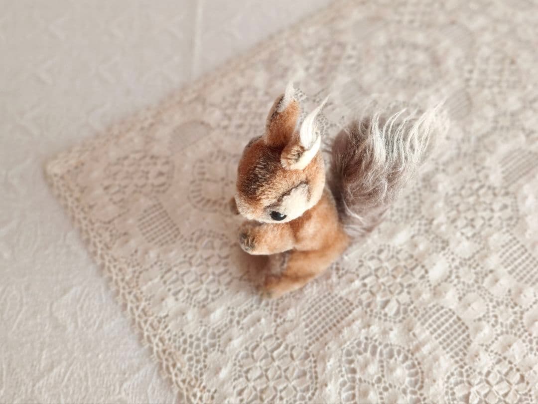 * vintage squirrel ♡ 可愛い おねだりリスさん