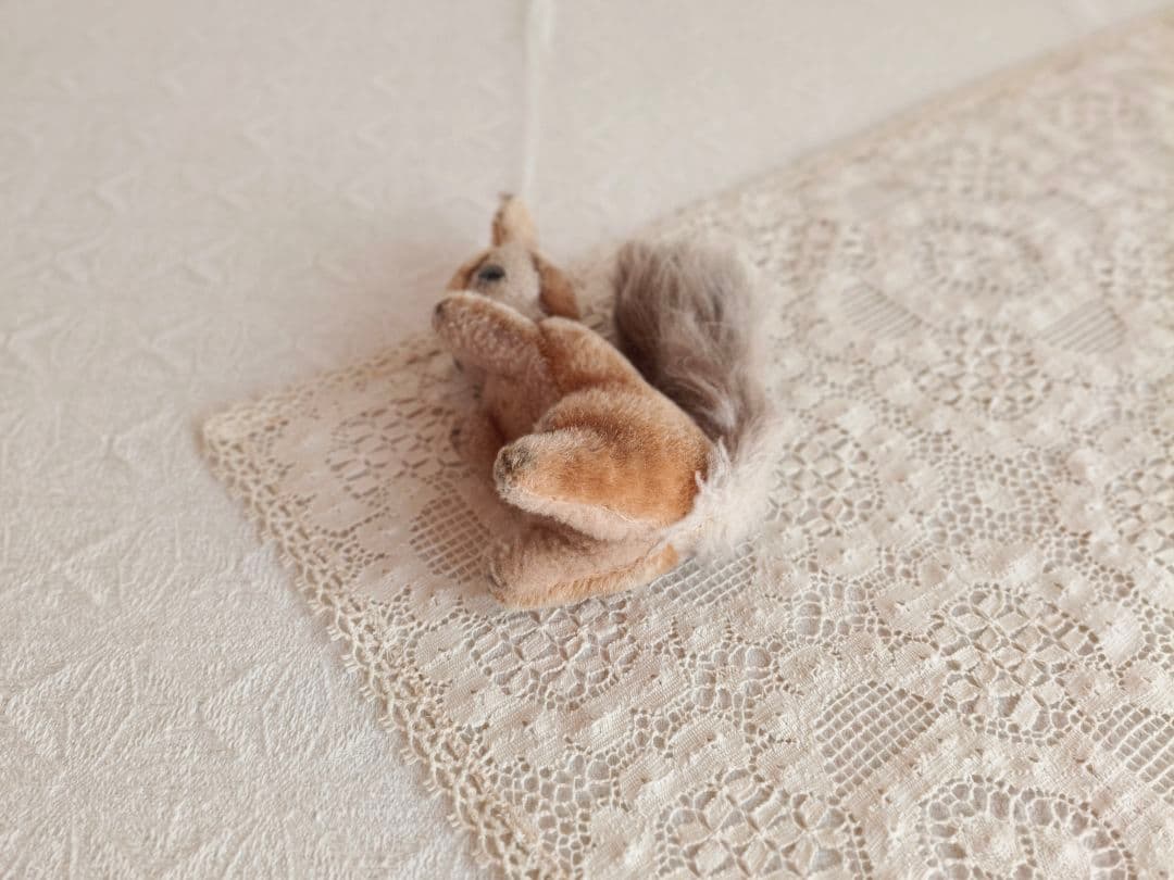 * vintage squirrel ♡ 可愛い おねだりリスさん