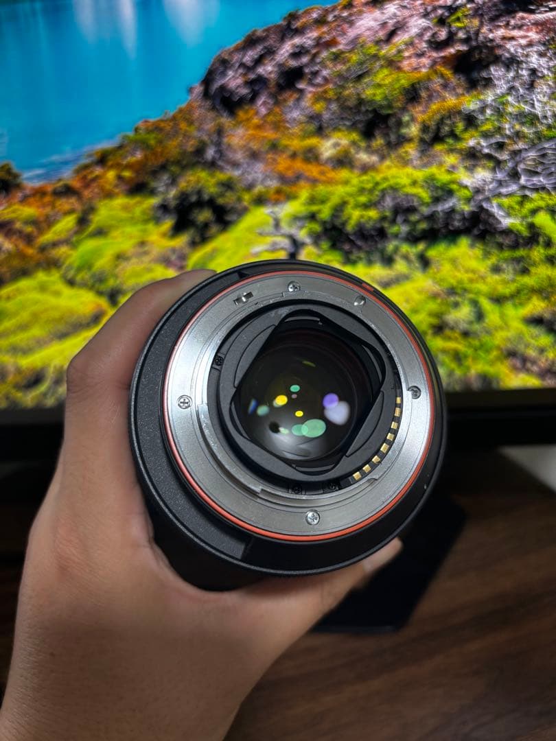 じ*た様 Sony Vario- Sonnar 24-70mm f2.8 Aマウ