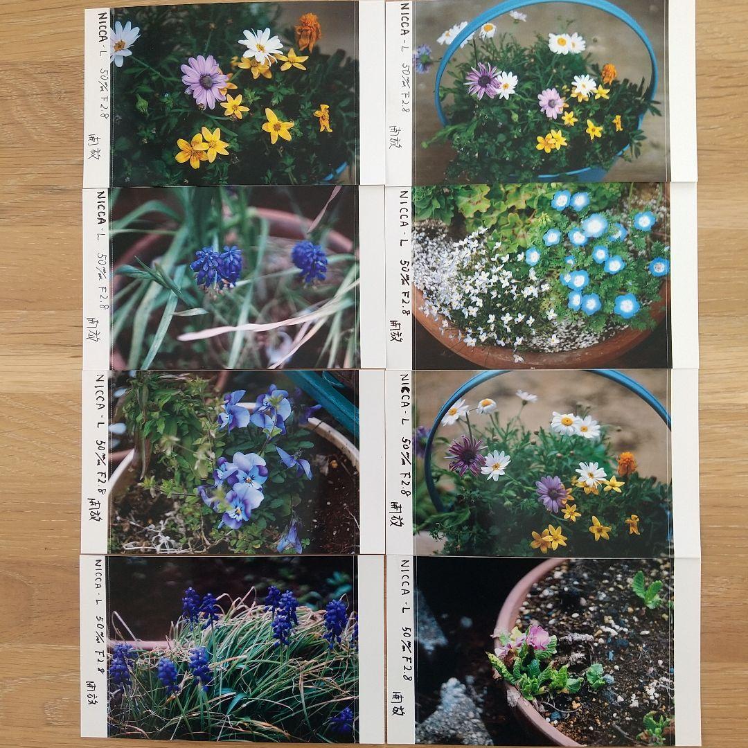 NICCA-L 50mmF2.8 後期型 フィルター径40.5mm