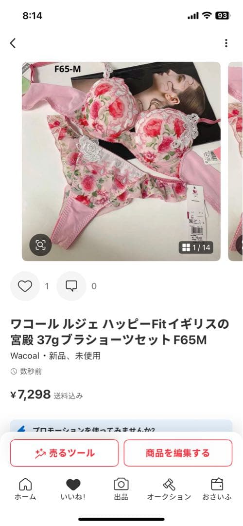 ワコール ルジェ ハッピーFitブラ イギリスの宮殿F65-M