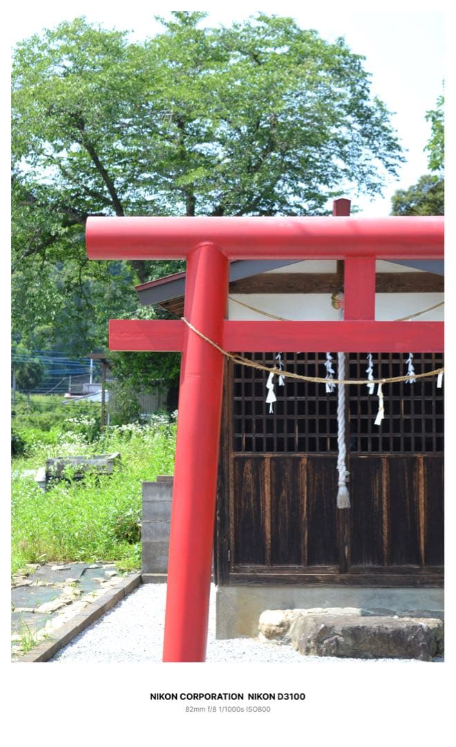 Nikon D3100 デジタル一眼レフカメラ