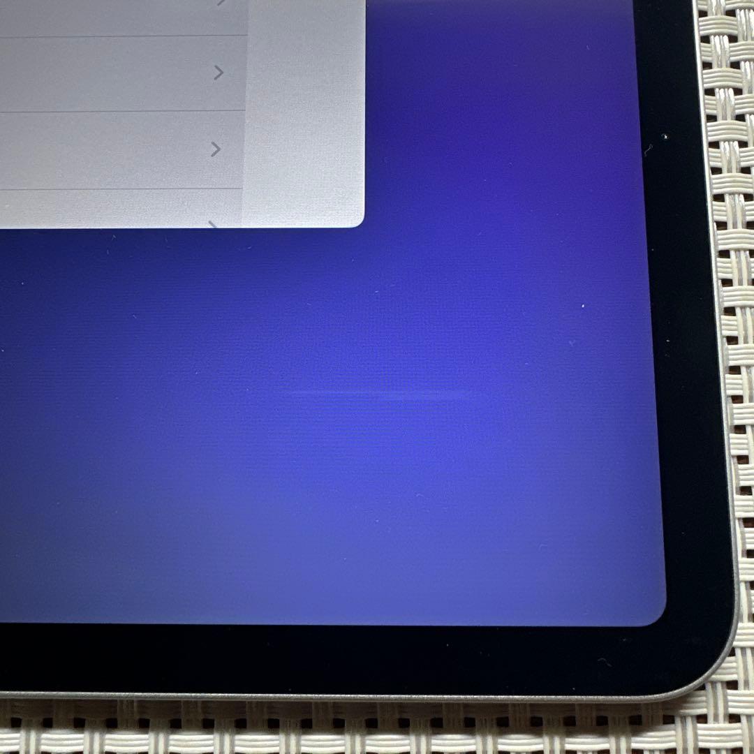 iPad pro第3世代 256GB 12.9インチ