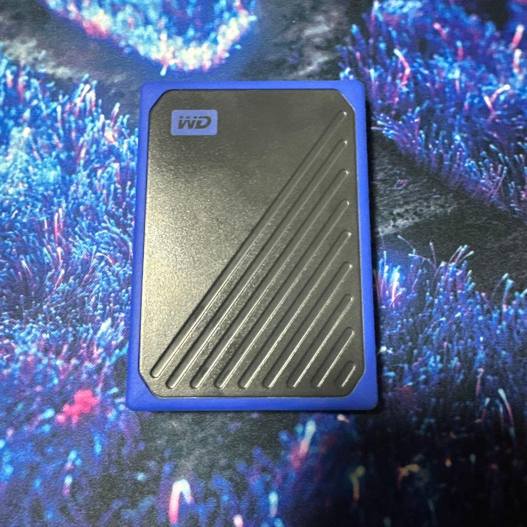 WD ウエスタンデジタル 外付けSSD 1TB