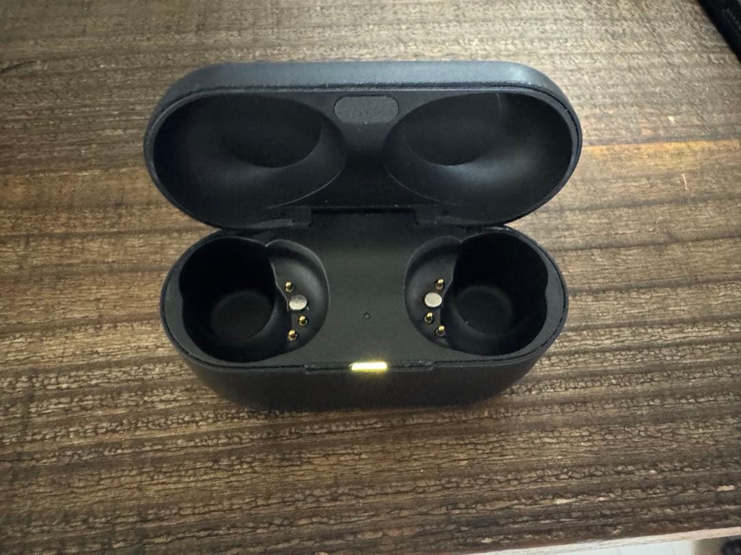 Technics EAH-AZ80 ケース ブラック Panasonic