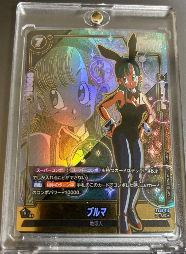 fb07-113 パラレル　ブルマ