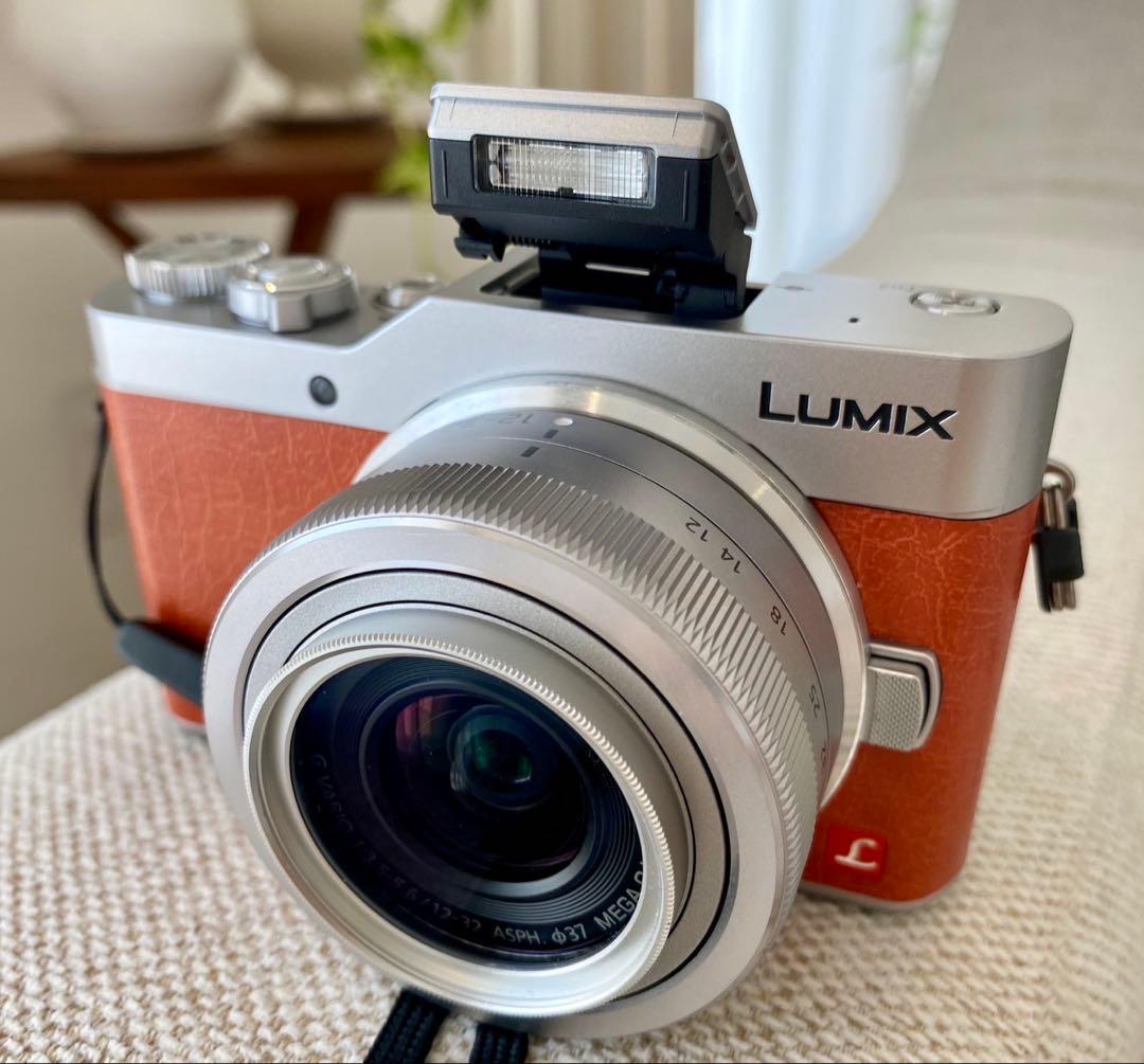 Panasonic LUMIX G DC-GF9W ミラーレスカメラ