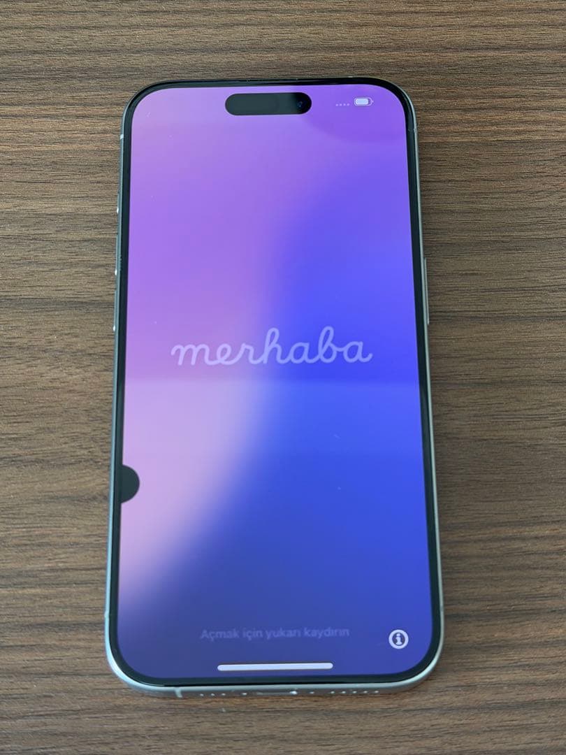 Apple iPhone15pro 512GB 液晶漏れあり　ジャンク