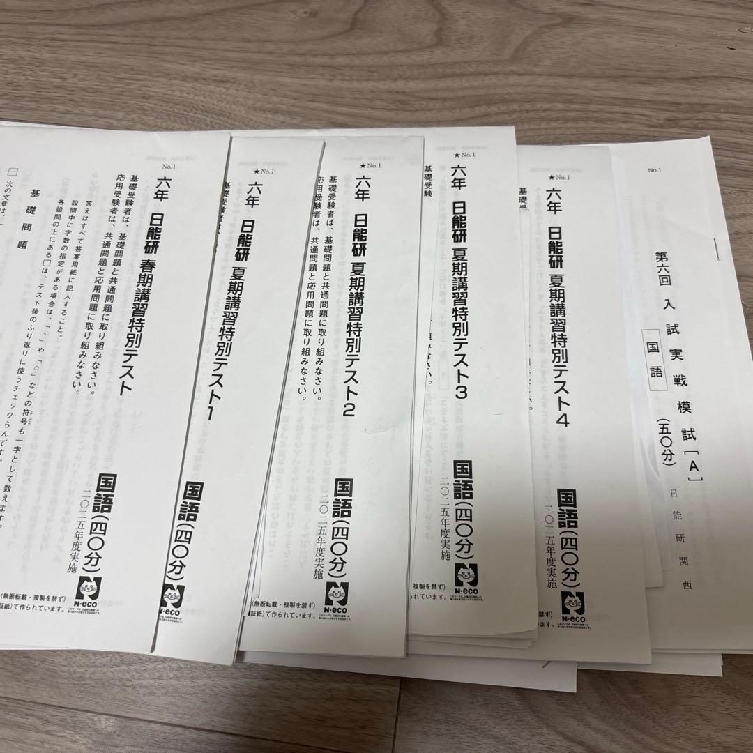 【すみちゃん】日能研6年（2025年度）　公開模試　育成テストなど