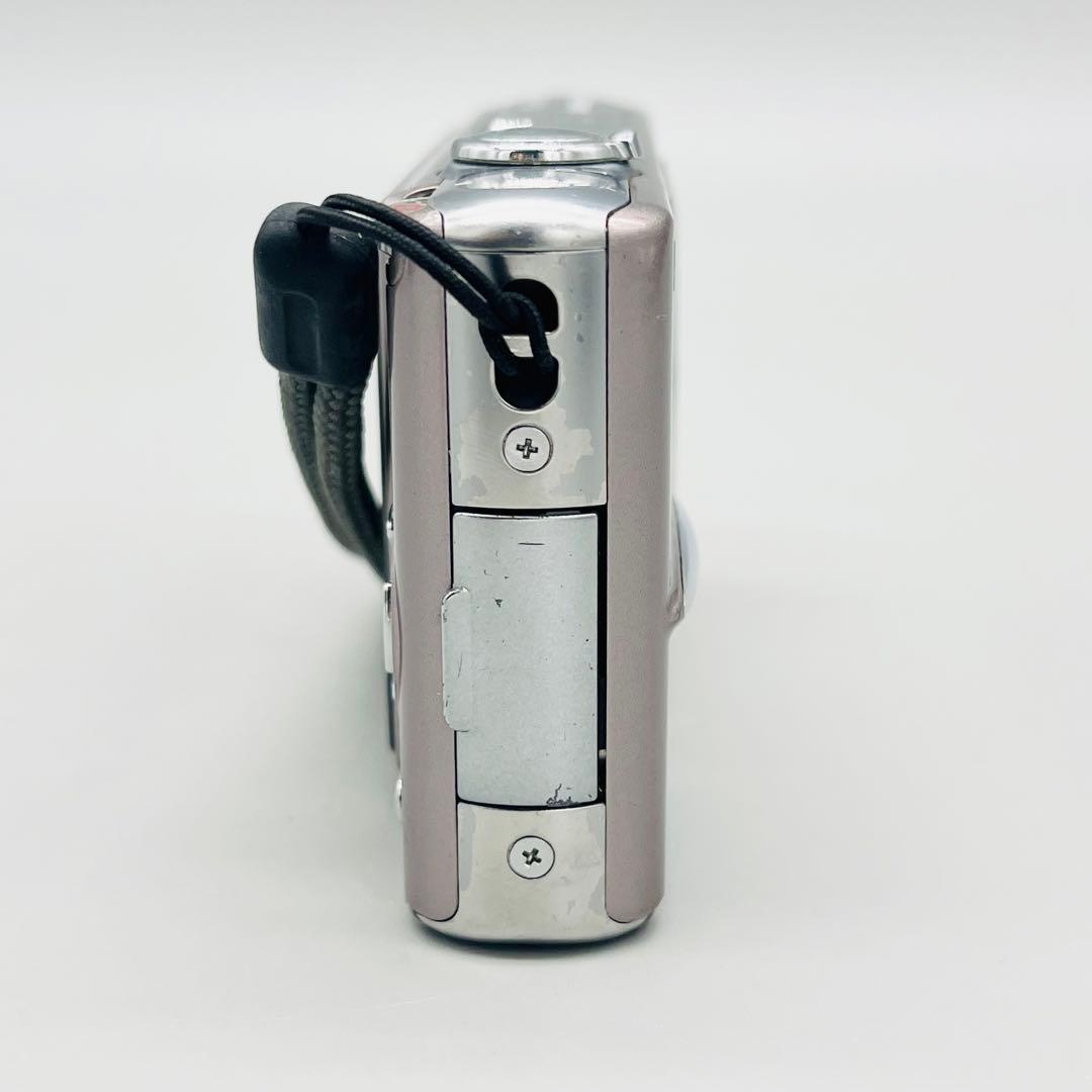 Panasonic LUMIX DMC-FX30 センシュアルブラウン