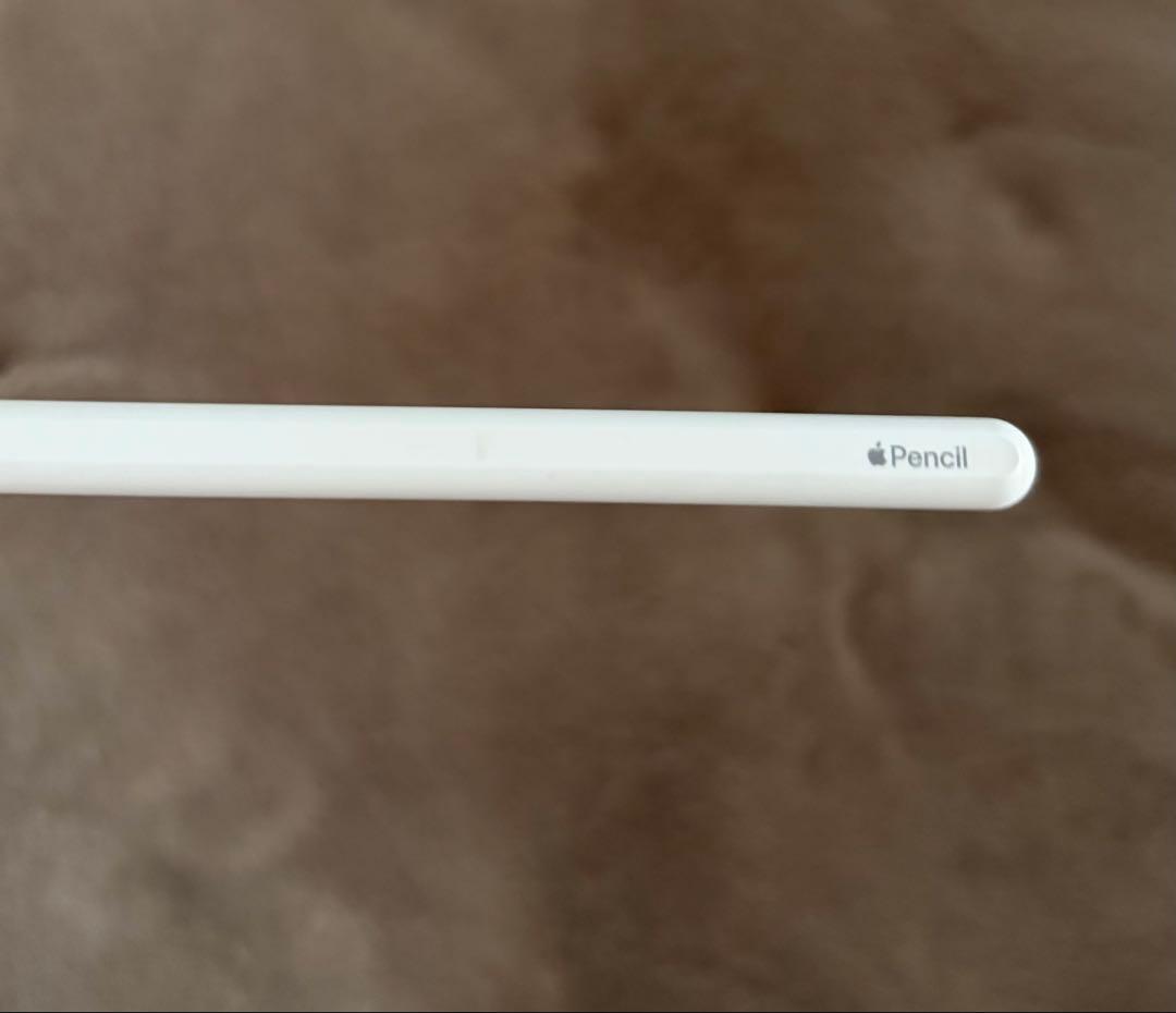 iPadPro第二世代(11インチ、256GB) ApplePencil付き