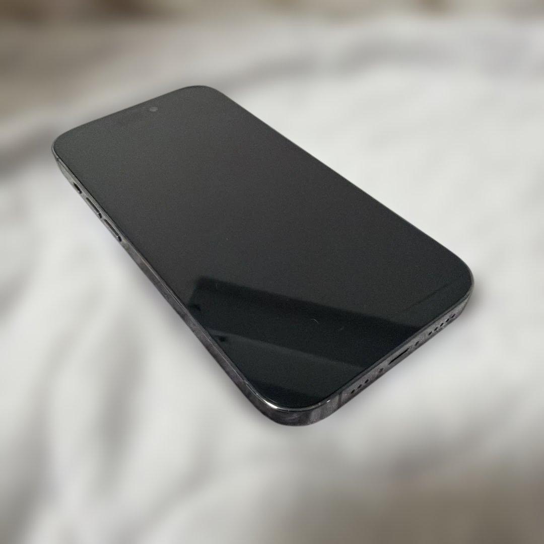 Apple iPhone 14 Pro 128GB CASETiFY ケース付き