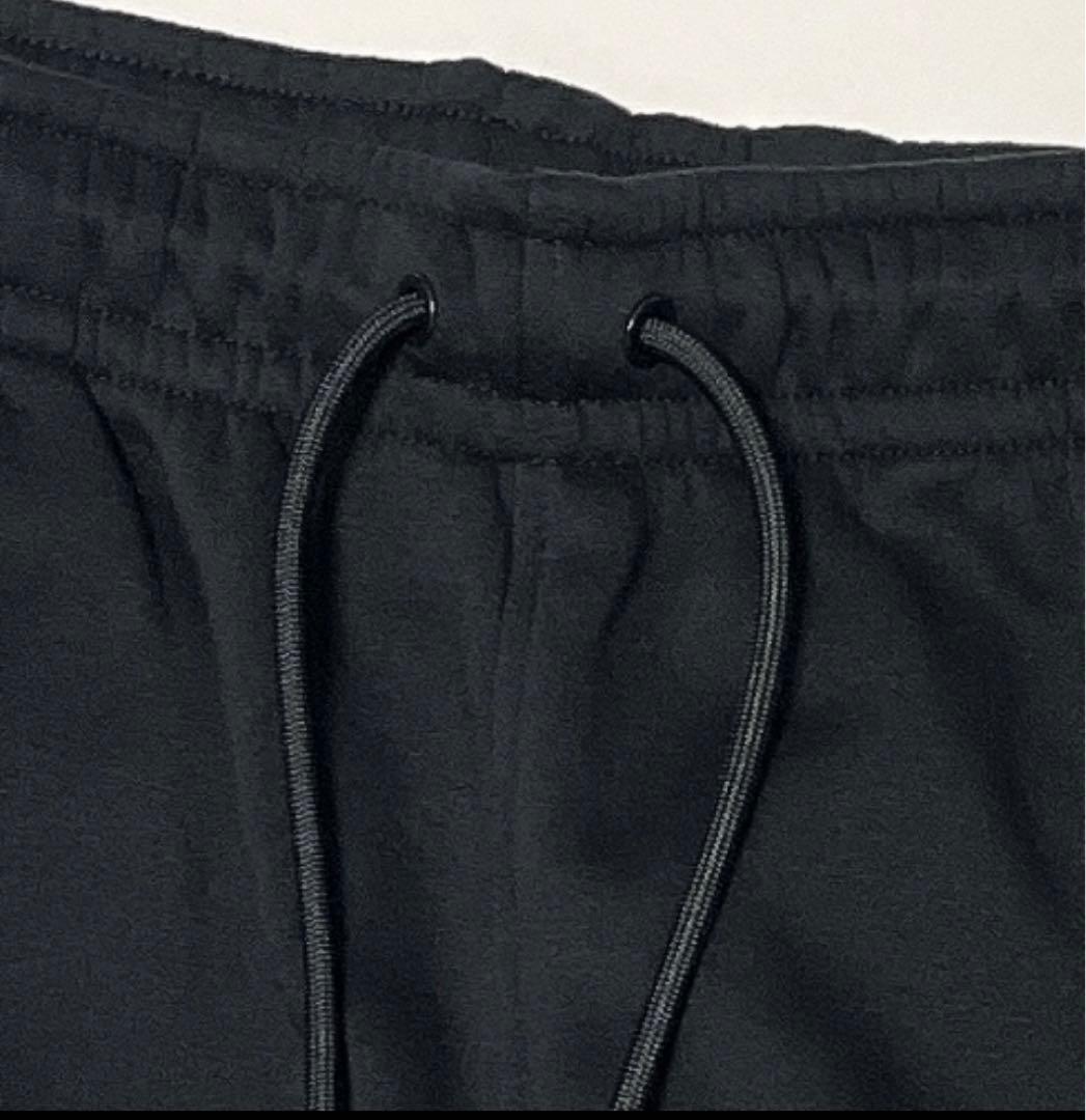 ナイキ スウェット 上下 ジョーダン 裏起毛 パーカー パンツ 新品 US L