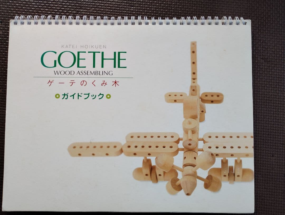 ゲーテの組み木　木製知育玩具 セット