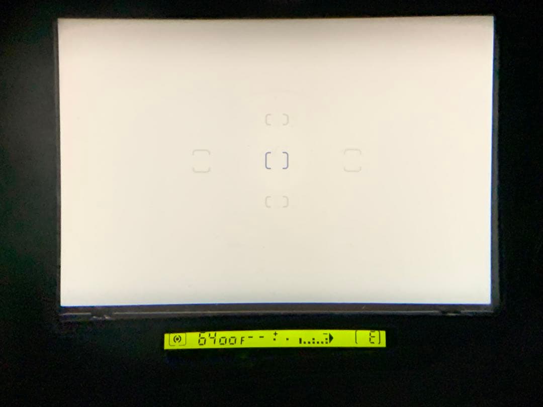 フィルムカメラ NIKON F5