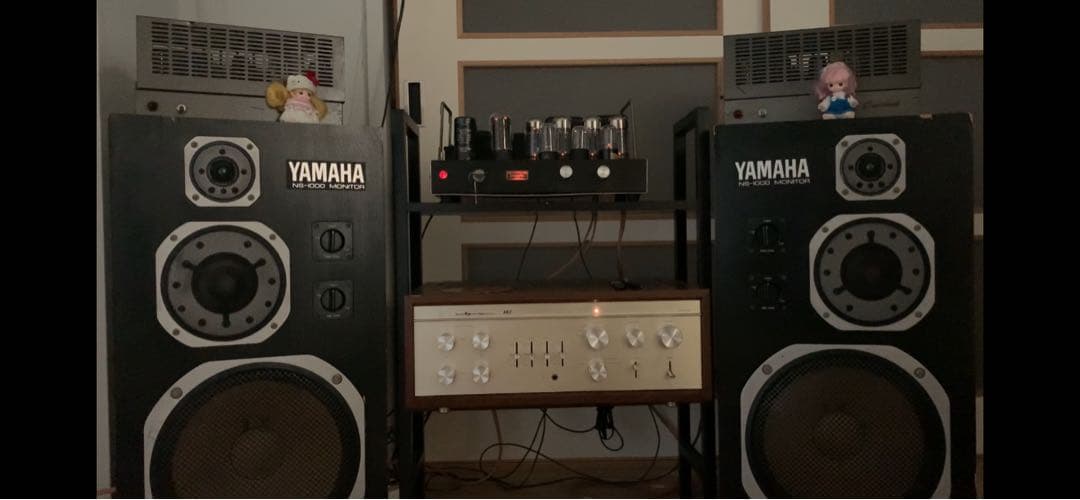 真空管アンプ 6L6