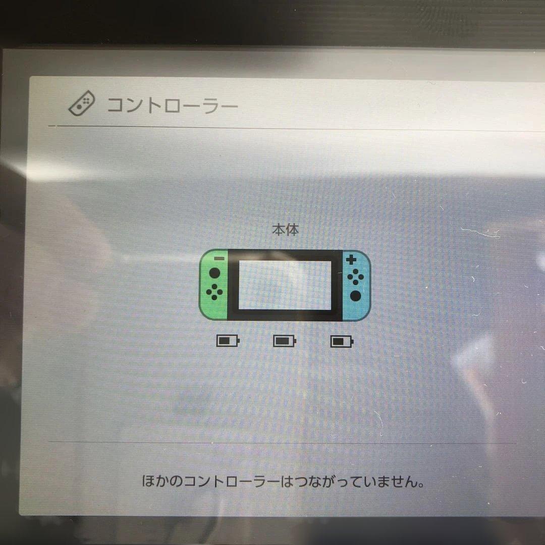 Nintendo Switch 本体　あつまれ どうぶつの森Ver ジャンク