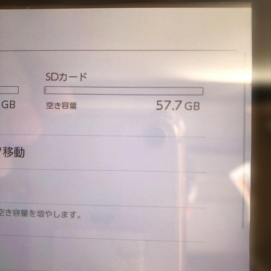 Nintendo Switch 本体　あつまれ どうぶつの森Ver ジャンク