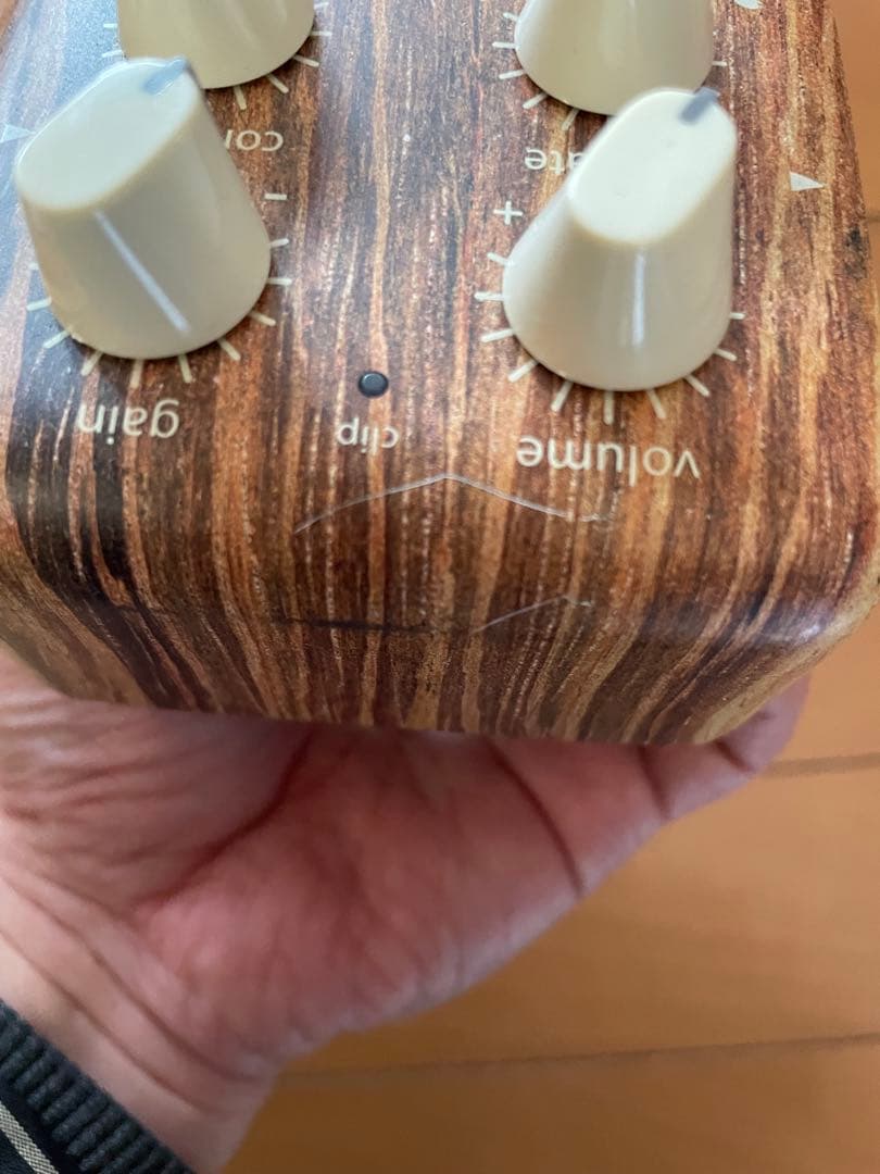 ギター L.R.Baggs ALIGN Series SESSION