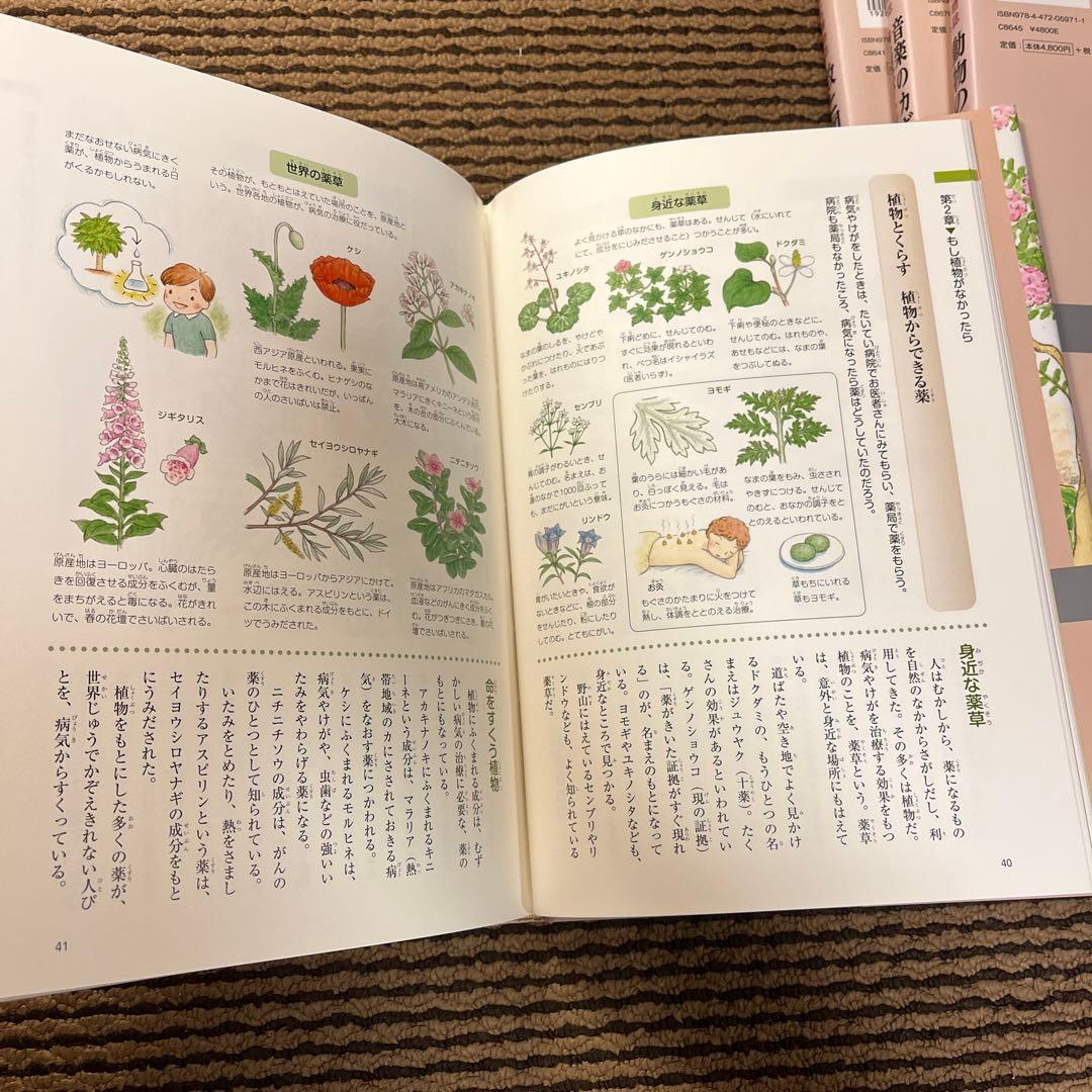 カ*郎様 玉川大学出版部 こども博物誌全12巻 辞典 読書 学校 図書 受験 勉