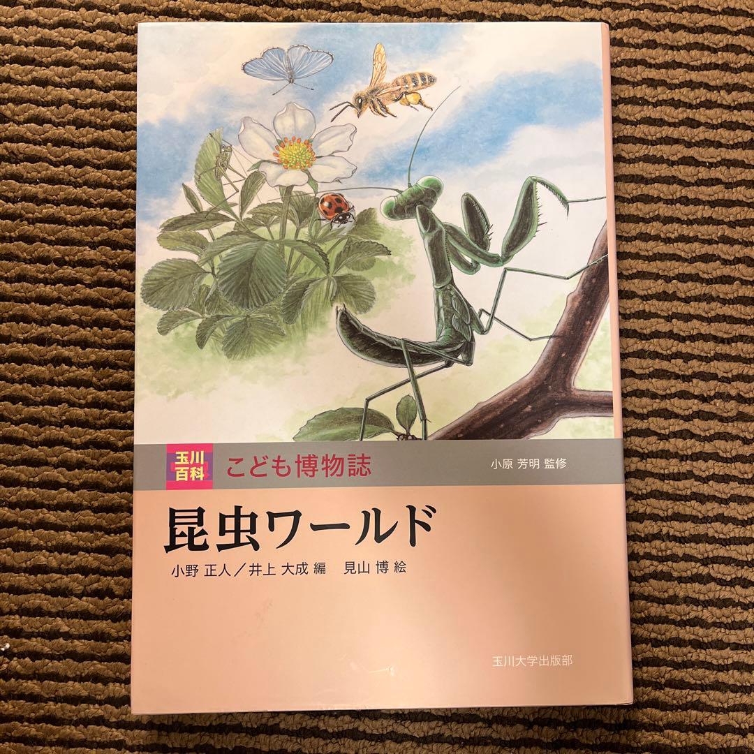 カ*郎様 玉川大学出版部 こども博物誌全12巻 辞典 読書 学校 図書 受験 勉