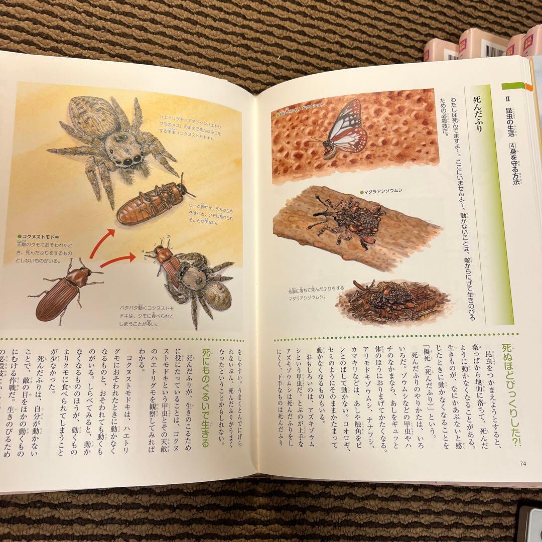 カ*郎様 玉川大学出版部 こども博物誌全12巻 辞典 読書 学校 図書 受験 勉