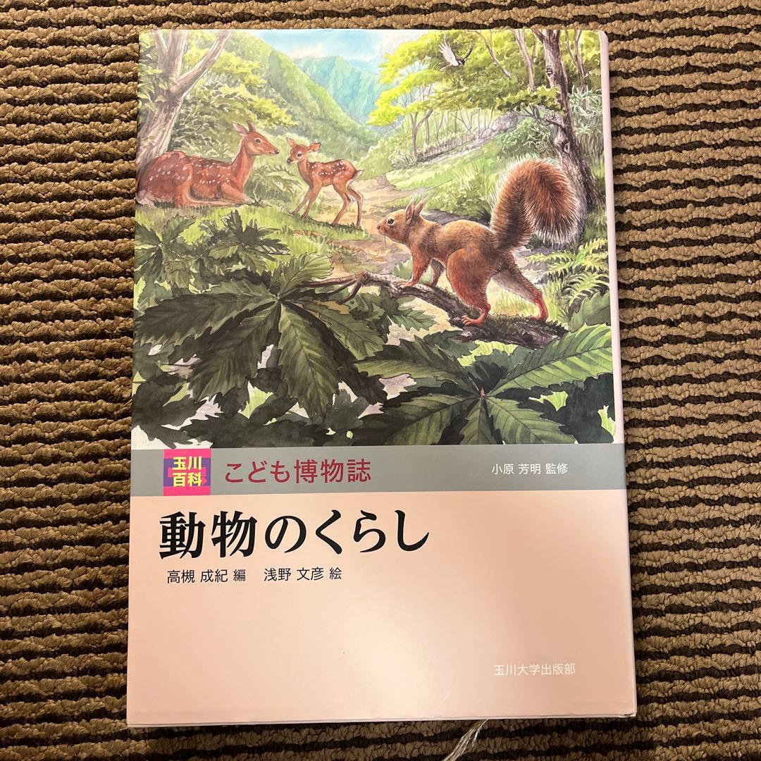 カ*郎様 玉川大学出版部 こども博物誌全12巻 辞典 読書 学校 図書 受験 勉