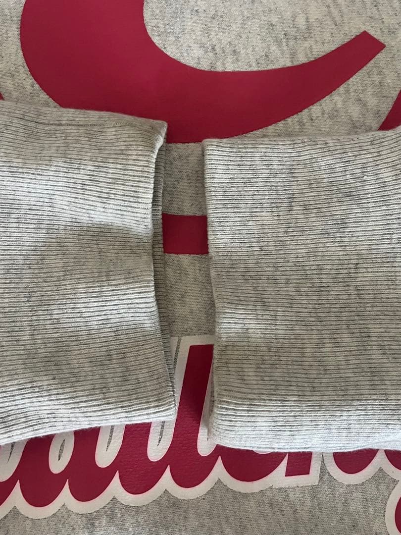 チャレンジャー　ロゴ　スウェット