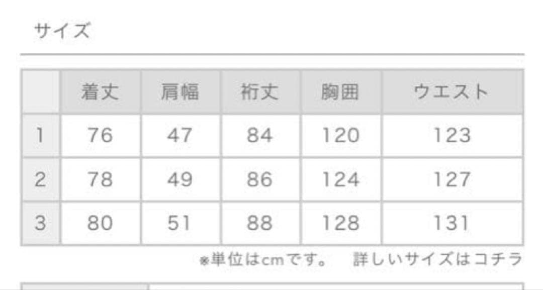 【着用1回極美】COMOLI コモリシャツ V01-02001