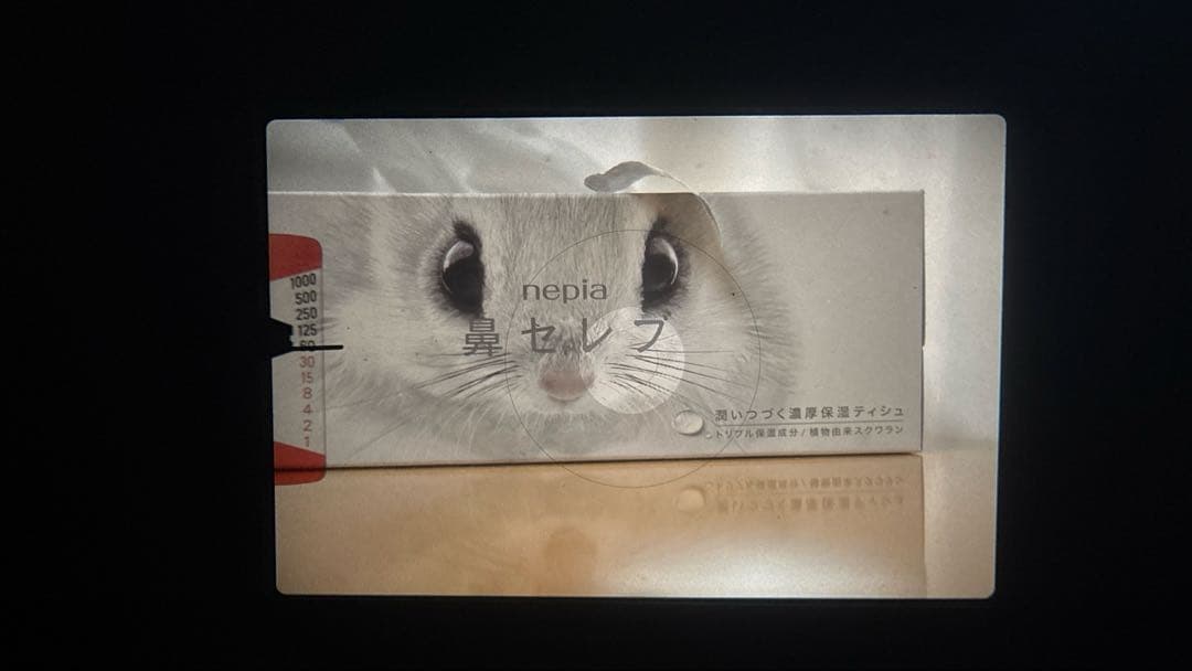 【中古】Nikon EM + 50mm F1.4 レンズ付き 動作品