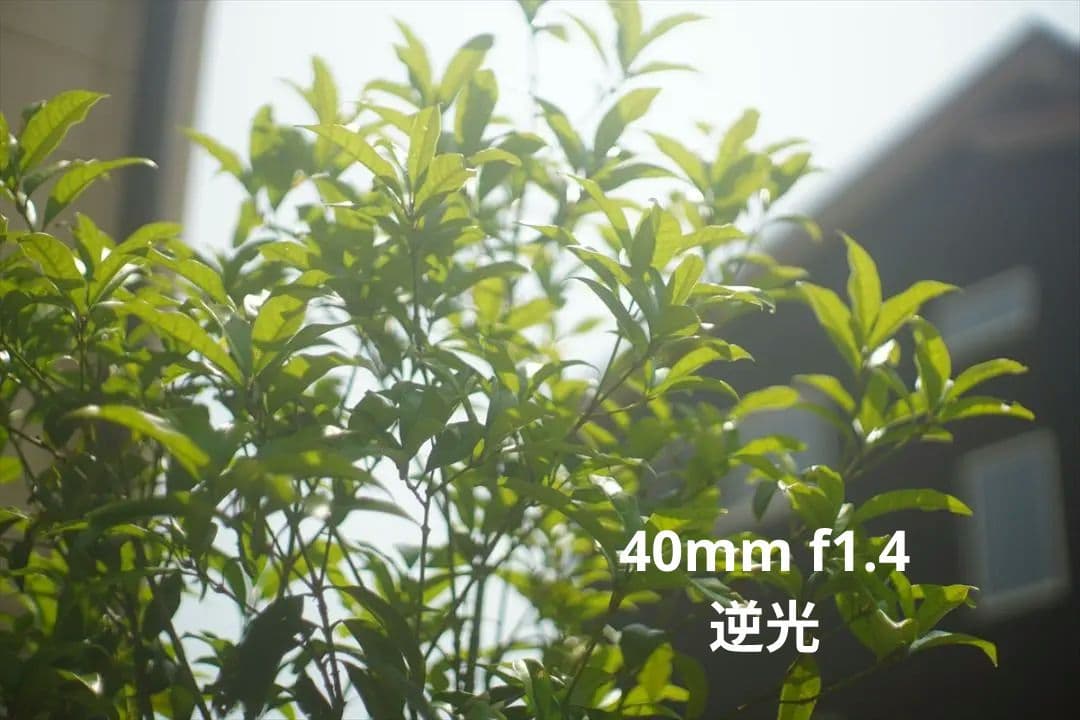 作例つき作動品 OLYMPUS PEN FT レンズ2本付き ハーフカメラ