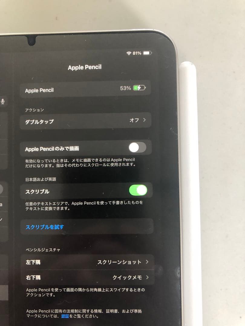 iPad mini 6世代（256GB）& ApplePencil（第2世代）