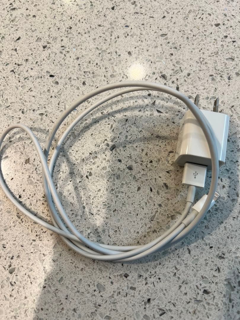 iPad本体 Apple iPad Air 2 (MH1J2J/A) 128GB