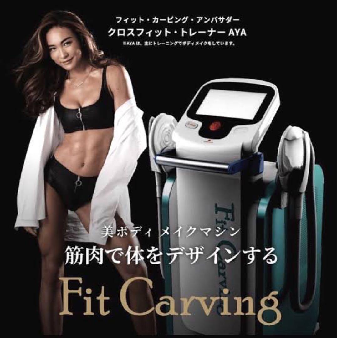 rスタイル 専用　Fit Carving【フィットカービング】
