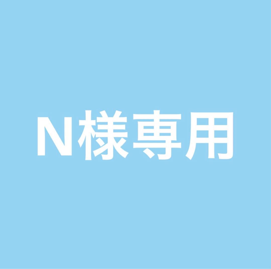 その他 N