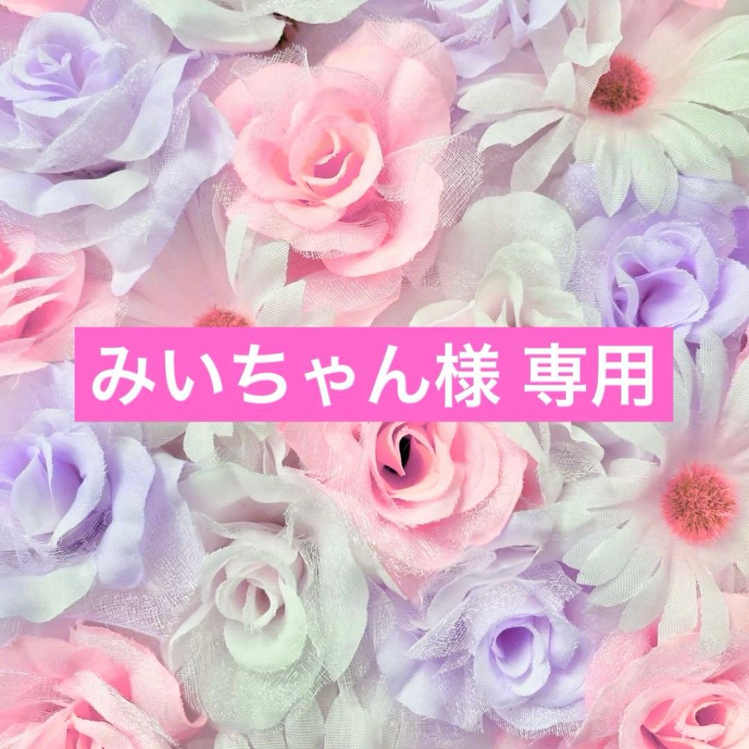 みいちゃんページ