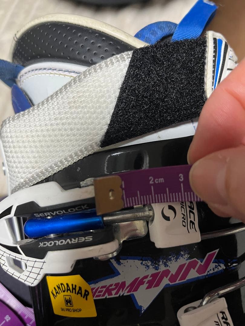 ノルディカ★ドーベルマン ジュニアWORLD CUP 100