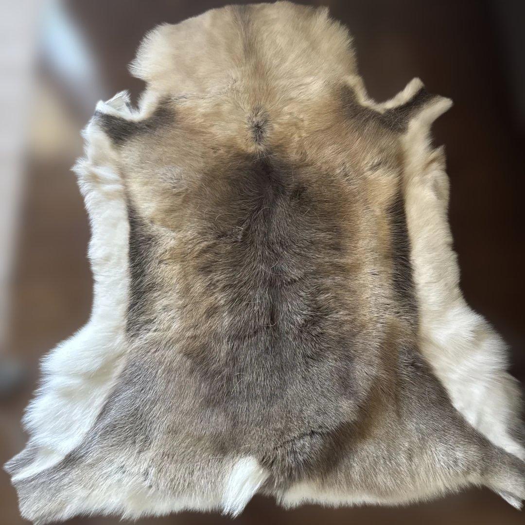 毛皮ラグ トナカイ（本物）北欧パビリオン