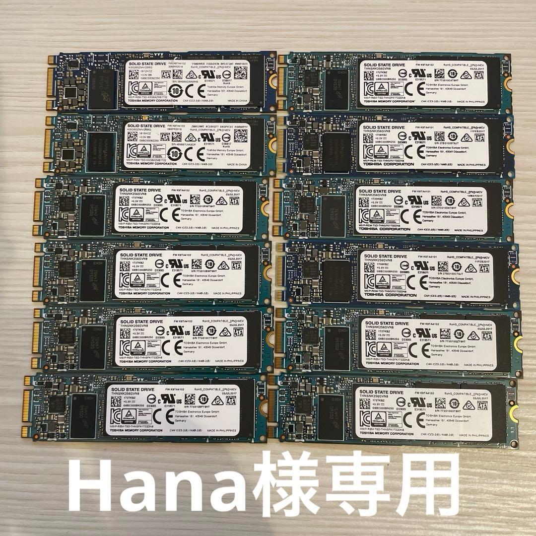 Hana　M.2 SATA SSD 12枚