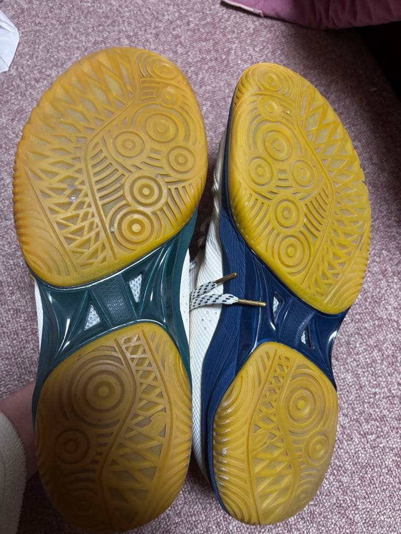 asics ballaholic GLIDE NOVA FF 専用