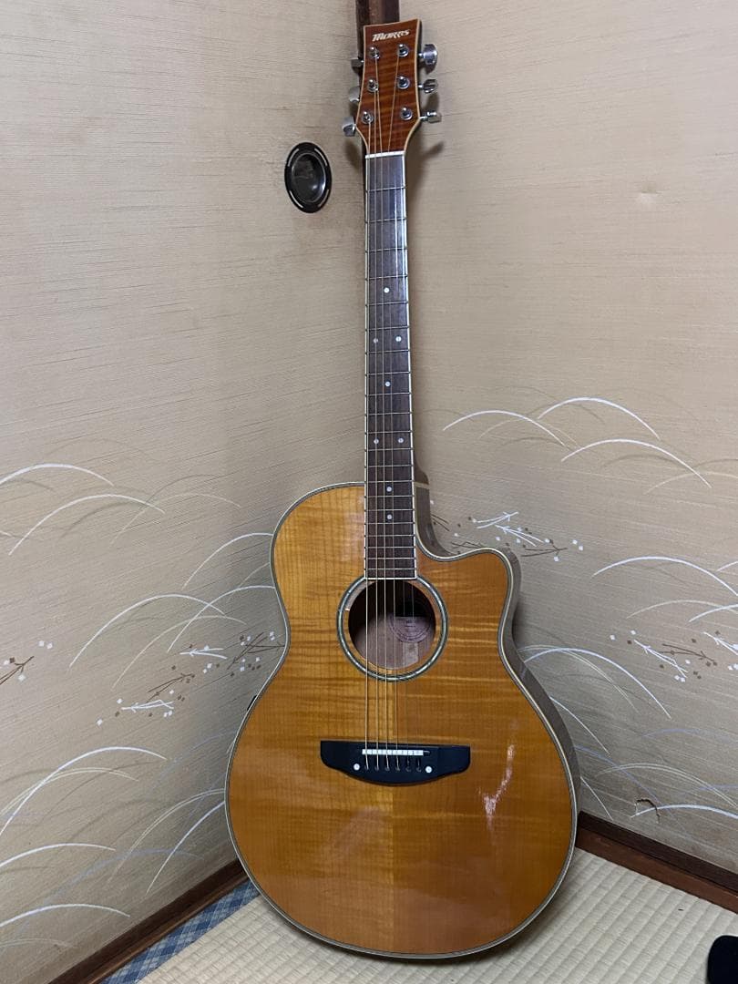 M*.様 Morris　　MR-451NY　エレアコ