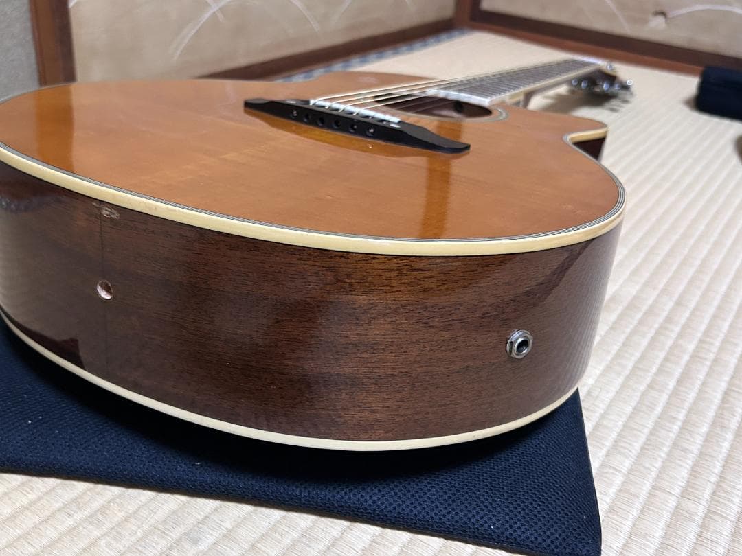 M*.様 Morris　　MR-451NY　エレアコ