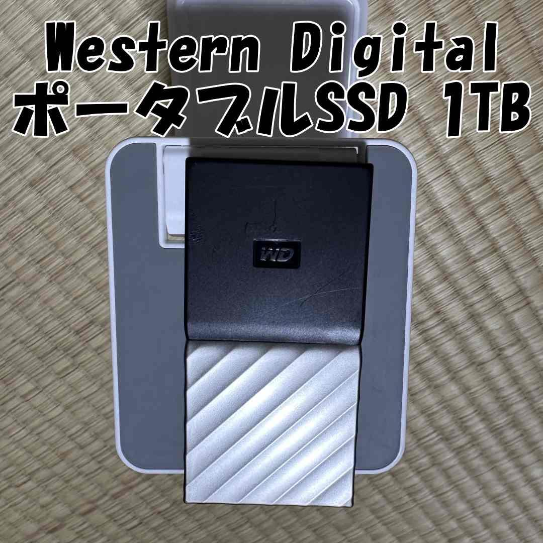 WD ポータブルSSD 1TB 暗号化機能有り紛失対策安全 ピッタリケース付き